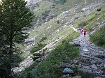 Salita al Rifugio Antonio Curò (1915 m.) da Valbondione (900 m.) sul sentiero panoramico il 20 sett.08 - FOTOGALLERY 